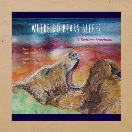 Where do bears sleep cover